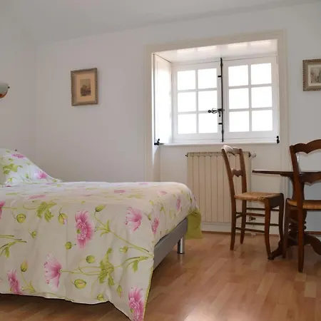 Maison Au Loup - Superbe Ancien Particulier Du Xvie Siecle Au Coeur De La Vieille Du Puy Bed and breakfast *