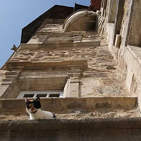Bed & Breakfast Maison Au Loup: 16th Century In Old Town Le Puy-en-Velay